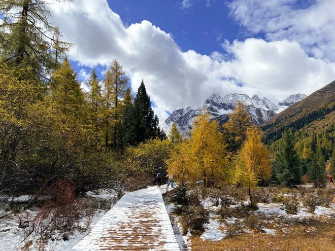 旅服务社榜团体服务+IP定制游标杆澳门新葡京2025四川旅行社政企文(图3) 旅服务社榜团体服务+IP定制游标杆澳门新葡京2025四川旅行社政企文(图3)